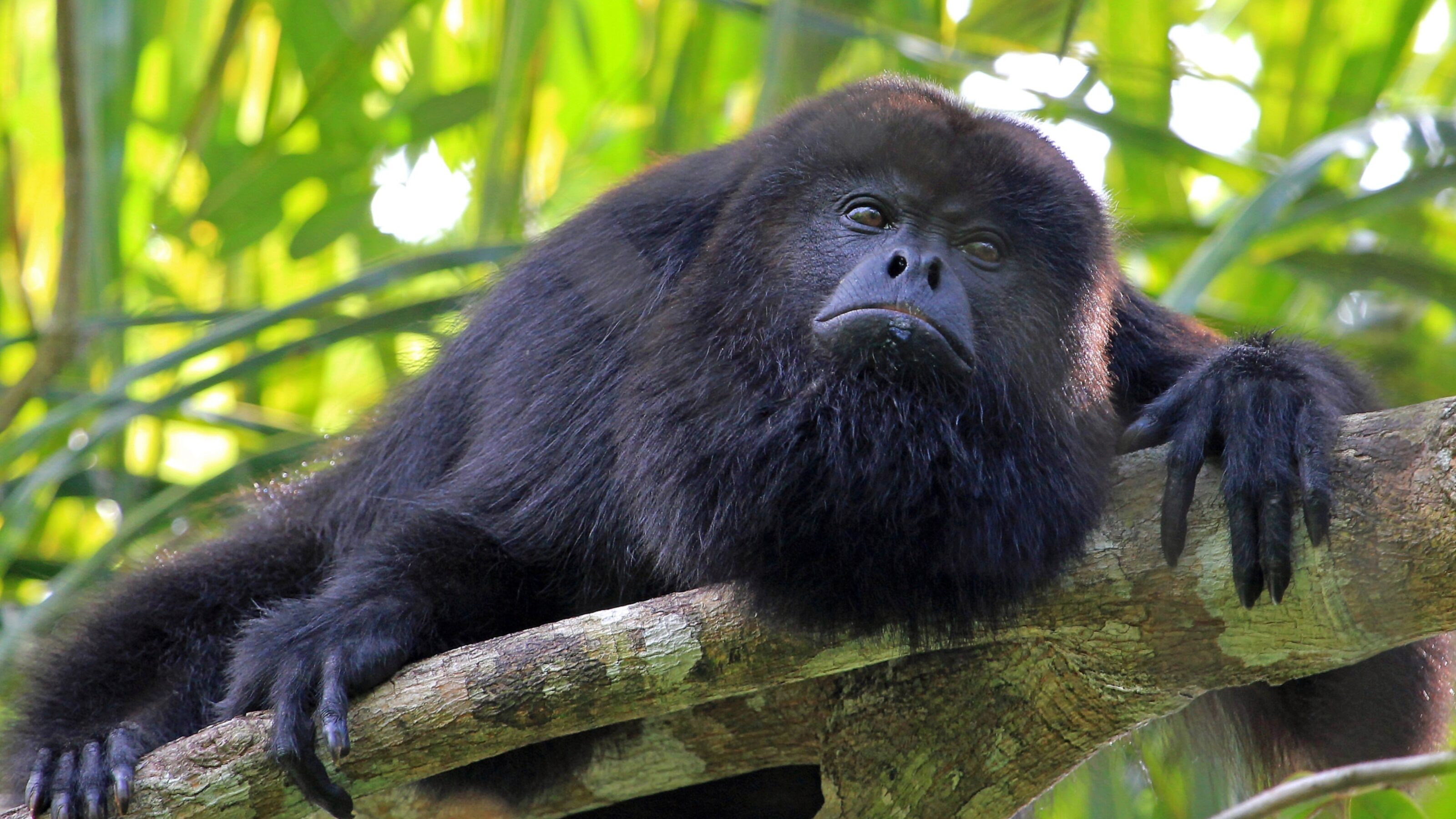 A Luxury Belize Adventure