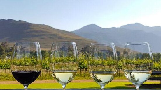 Four glasses of wine—one red and three white—sit on a wooden table overlooking a sunny vineyard and mountains.