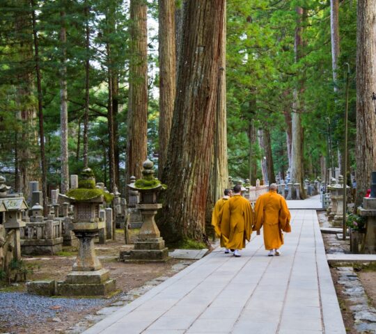 Japan's largest cemetery