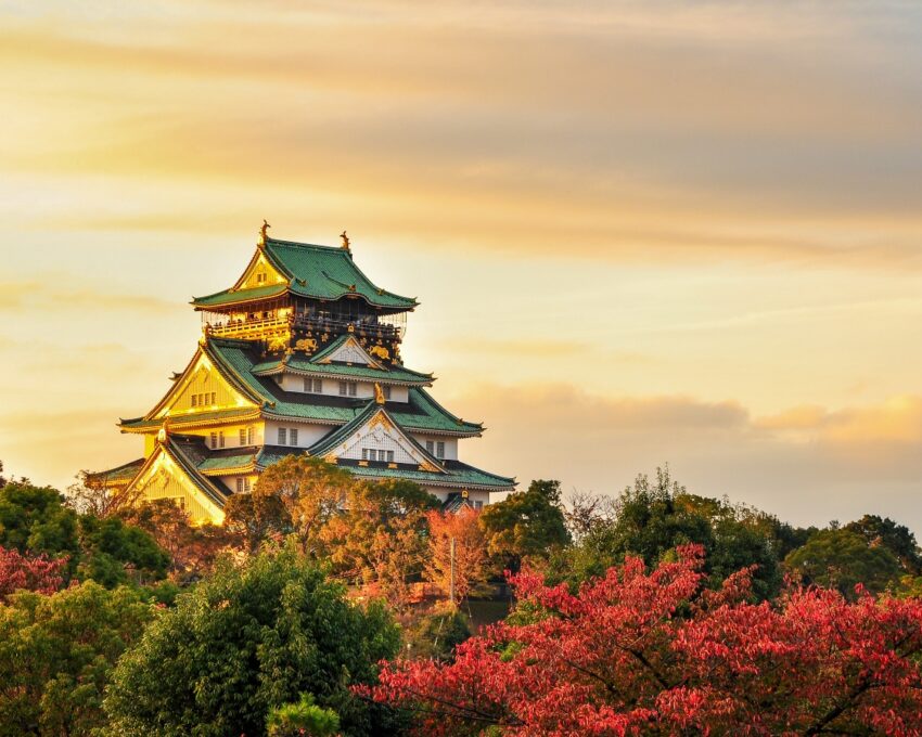 A private tailored tour of Osaka