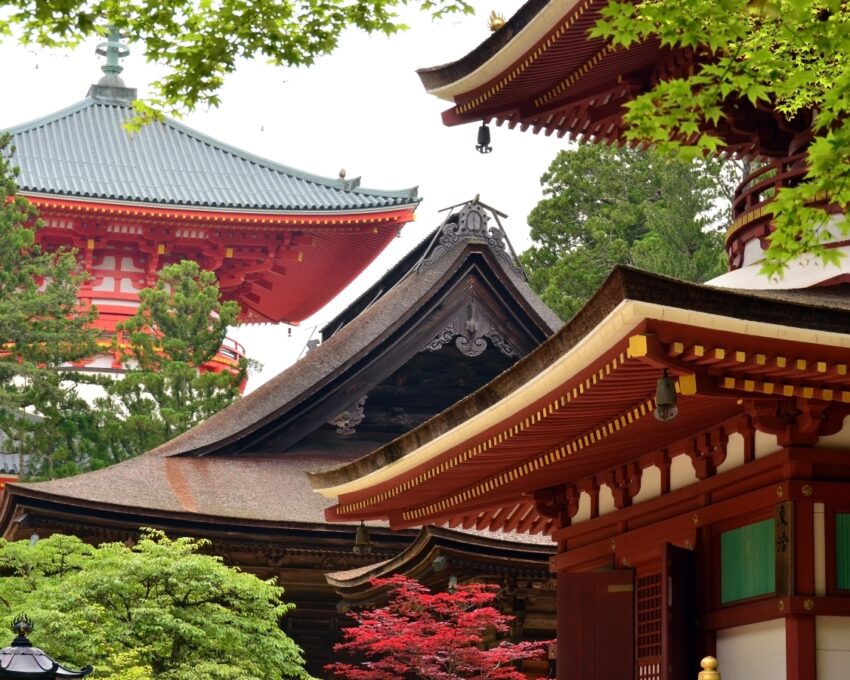 The best of Mount Koya