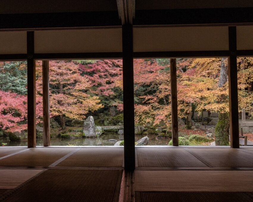 A journey through timeless temples