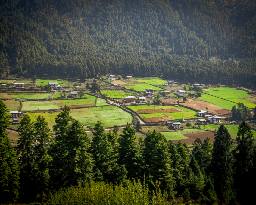 A day exploring Gangtey and its monastery