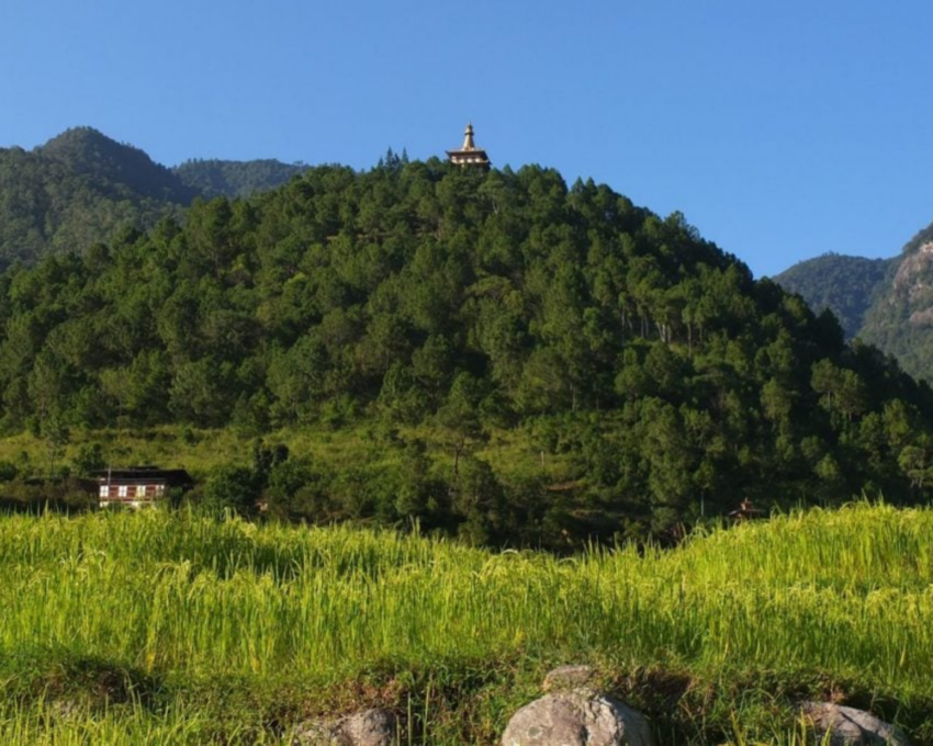 A visit to Punakha with stops at Khamsum Yuelling and Chorten Ningpo temples