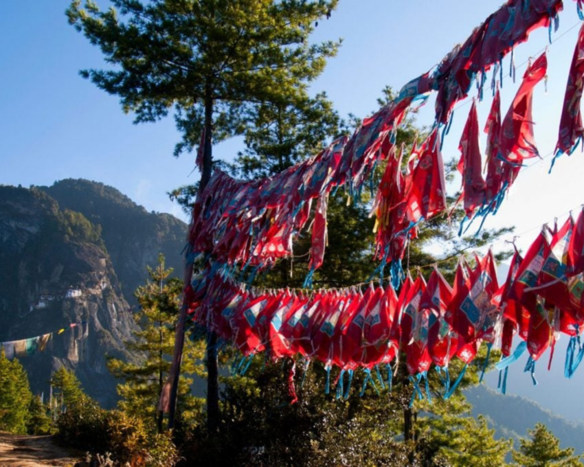 A private hike to Tiger’s Nest and a hot stone bath