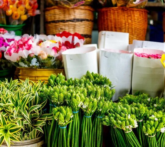 Beautiful blooms at Bogotá's Paloquemao market