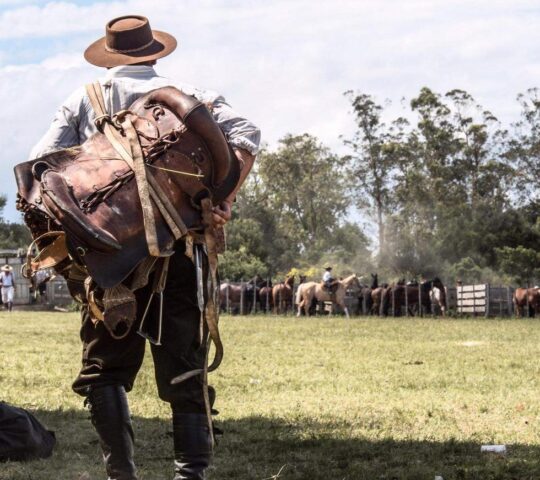 A guacho in The Pampas