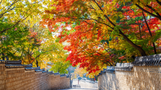 A stone-walled pathway is covered by a dense canopy of trees with vibrant red, orange, and yellow autumn leaves.