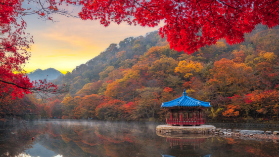 A blue-roofed traditional Korean gazebo by a misty lake, framed by brilliant red maple leaves, with a forest of autumn colors in the background.