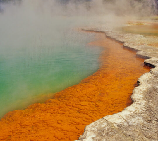 Rotorua is known for its geothermal activity