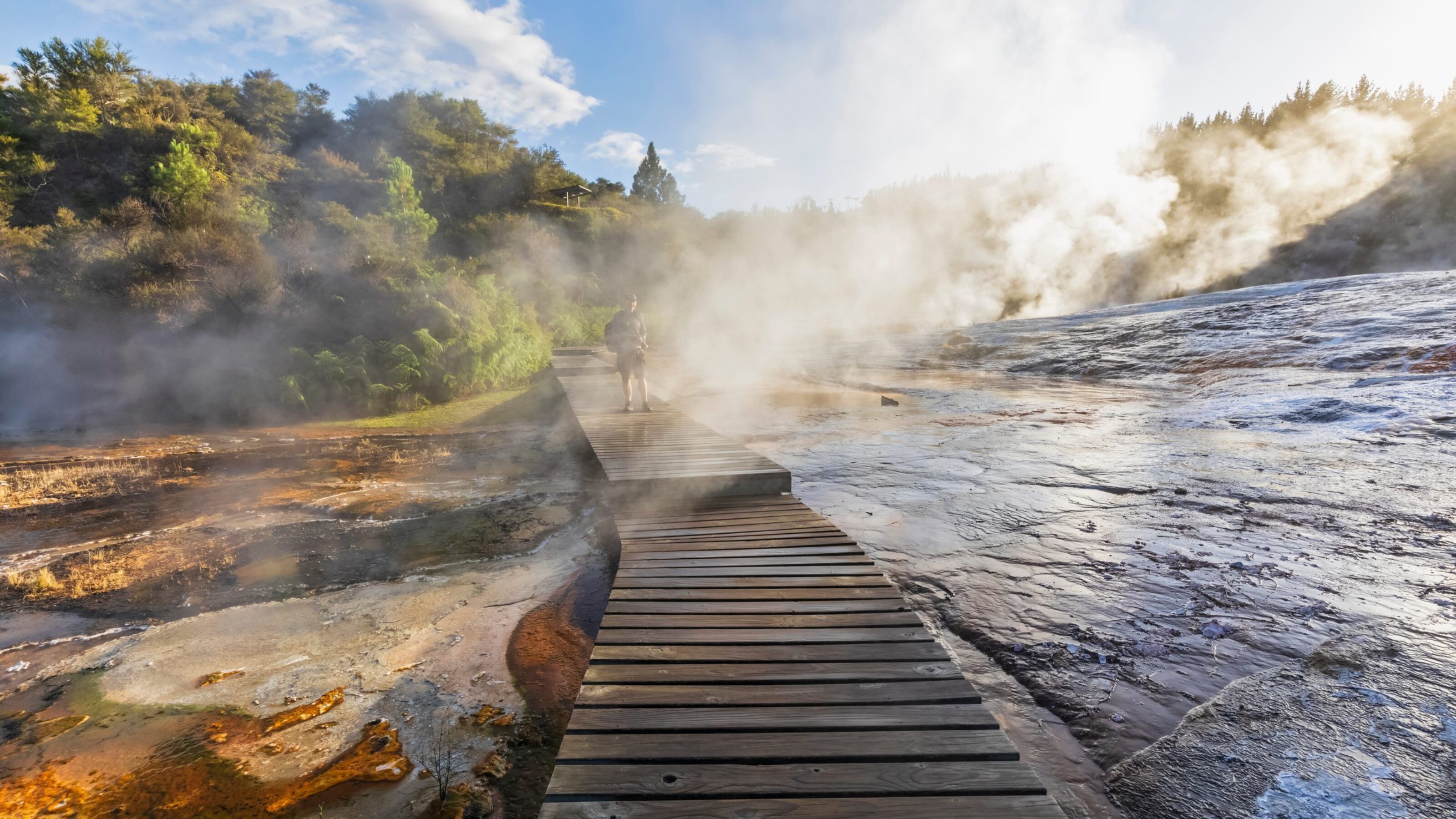 Tourist on a wooden boardwalk surrounded by steam from geothermal activity, Lake Taupo, New Zealand