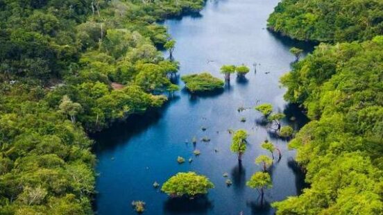 High-angle view of a blue river flowing through a thick green jungle with small islands of trees.