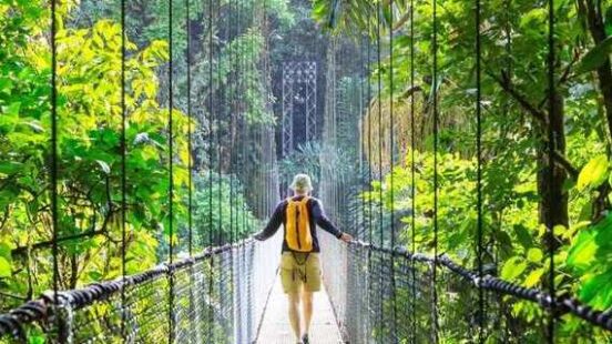 A hiker with a yellow backpack walking across a narrow suspension bridge in a lush green jungle.
