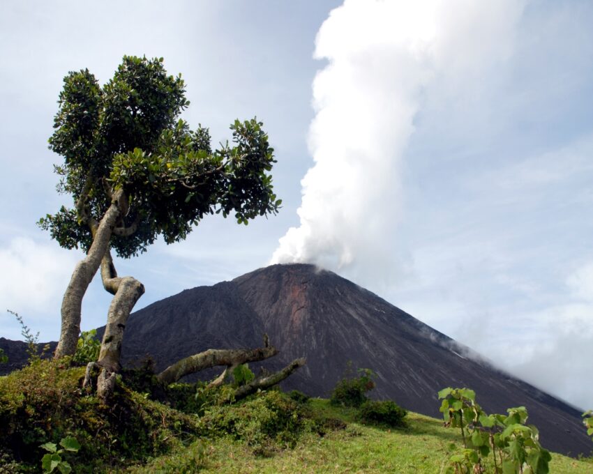 Exclusive hiking tour of Pacaya Volcano