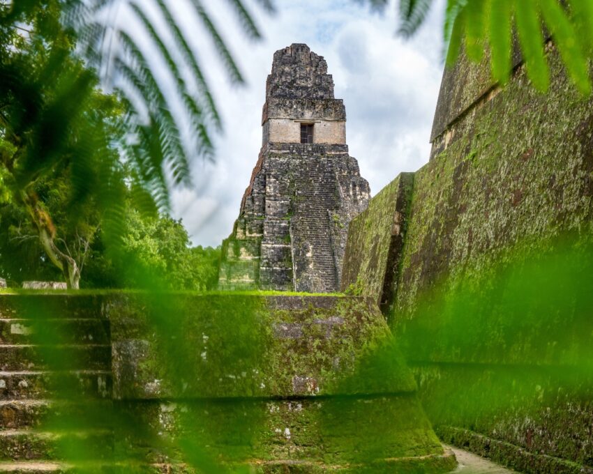 Guided exploration of Tikal