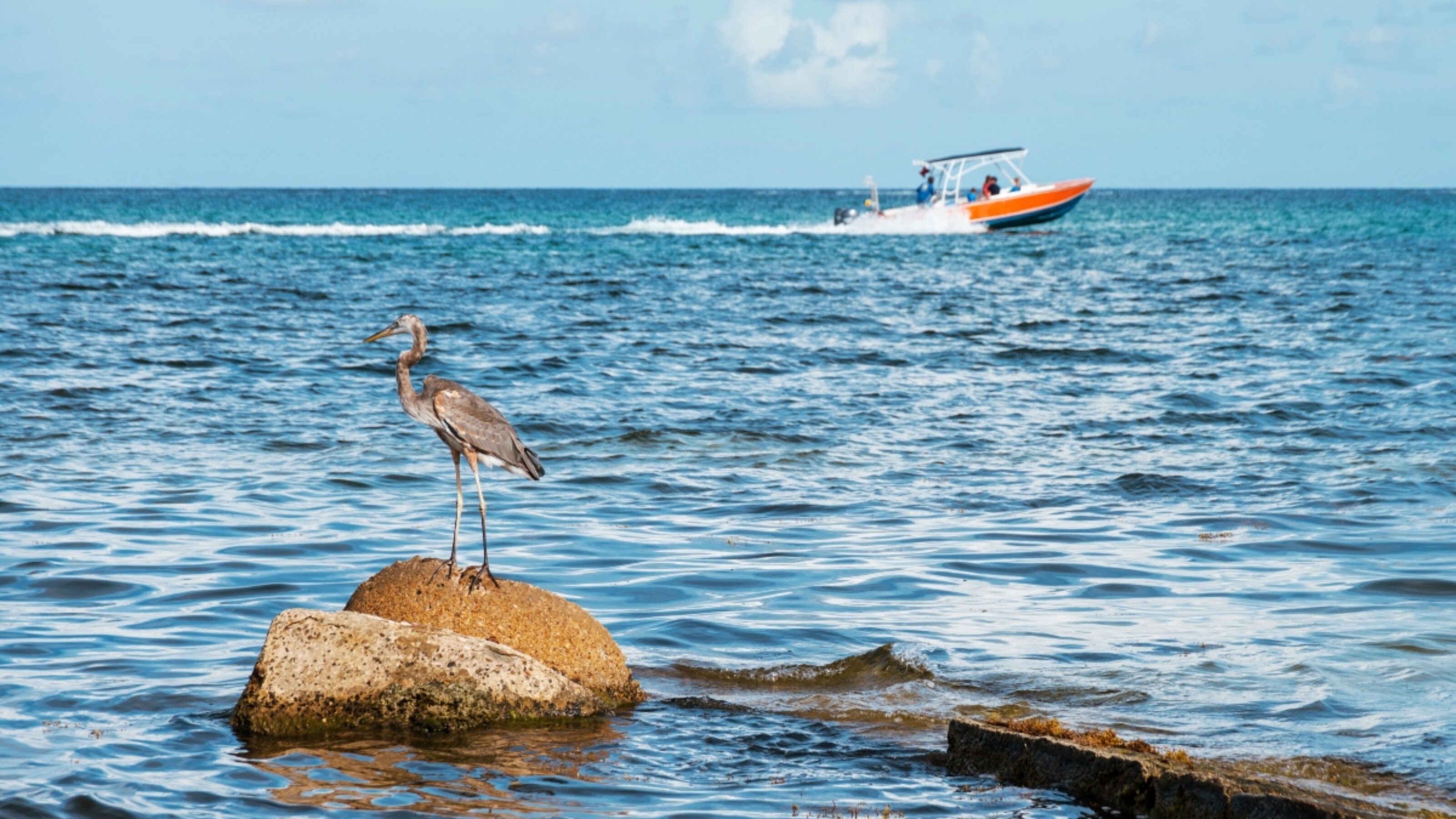 A Luxury Honeymoon in Belize