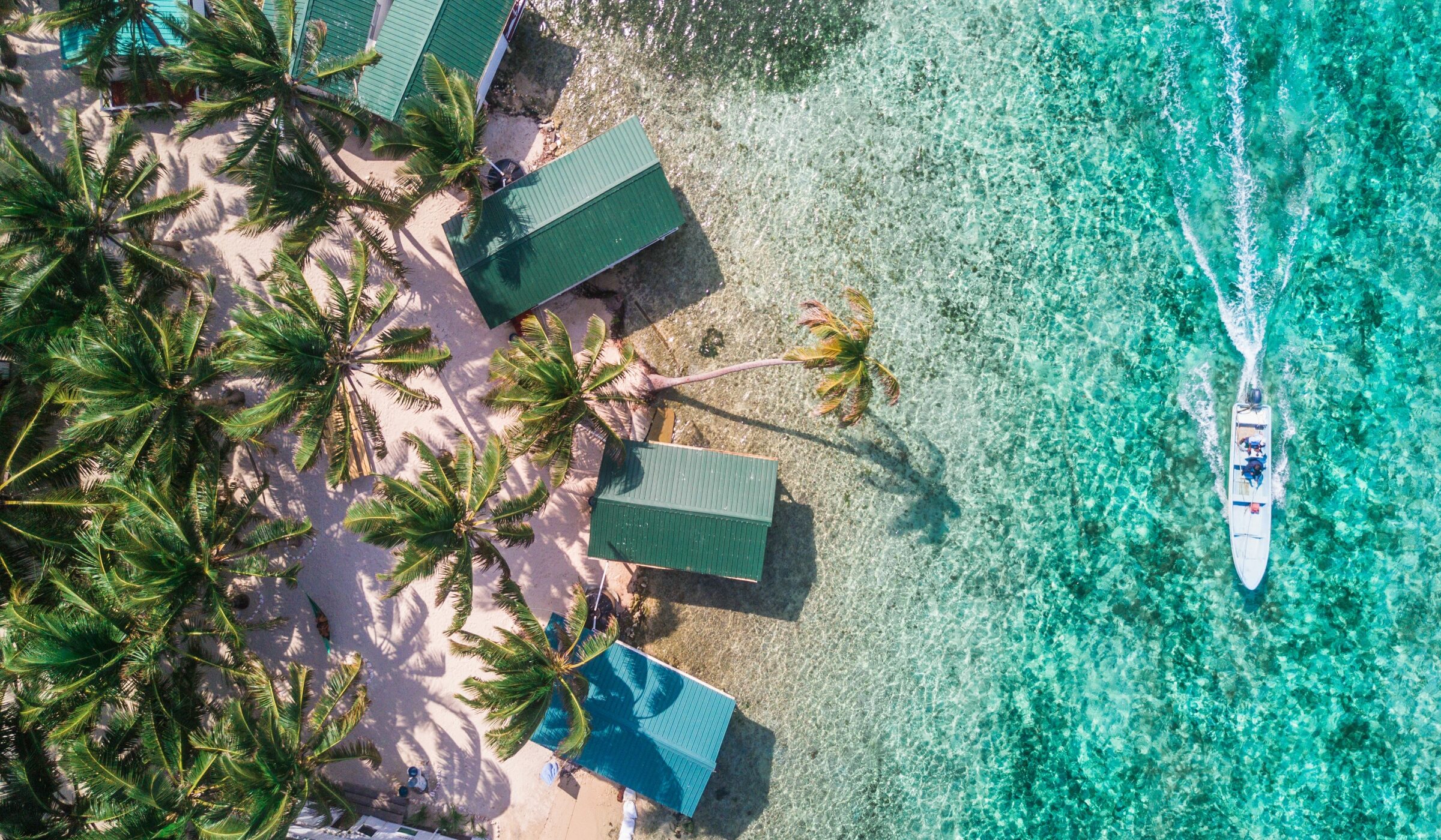 Aerial drone view of Tobacco Caye small Caribbean island with palm trees and bungalows in the Belize Barrier Reef