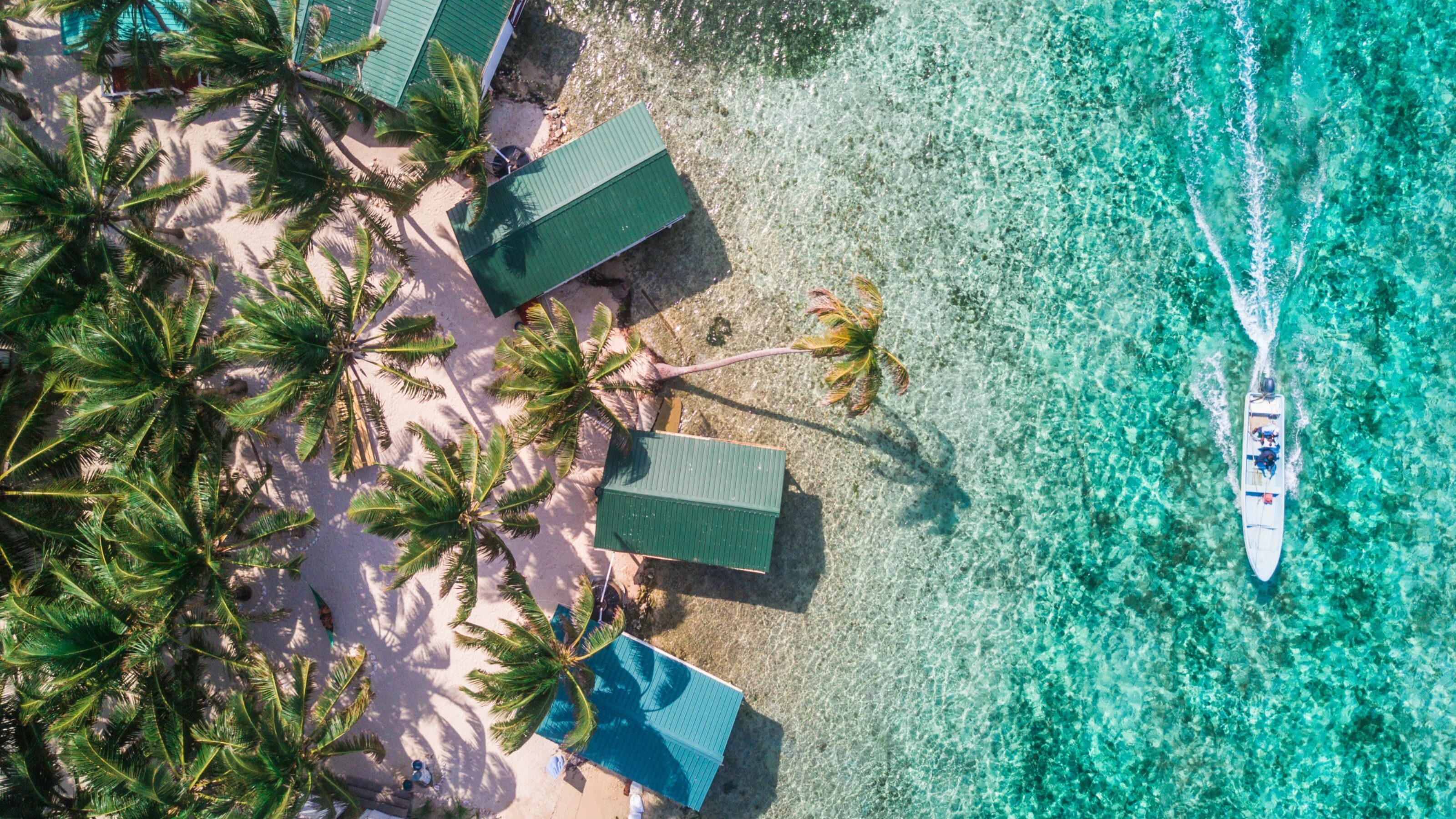 Aerial drone view of Tobacco Caye small Caribbean island with palm trees and bungalows in the Belize Barrier Reef