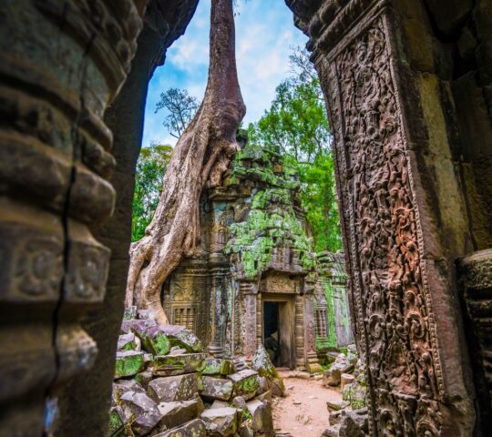 A visit to Ta Prohm temple