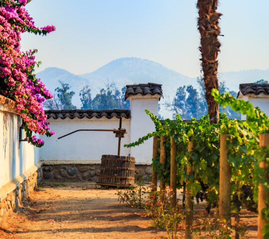 Traditional-style winery in Chile's Maipo Valley