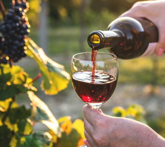 Tasting the latest vintages