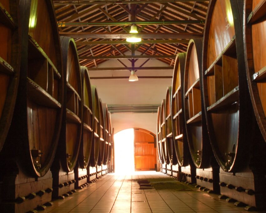 A wine tasting tour through the Central Valley