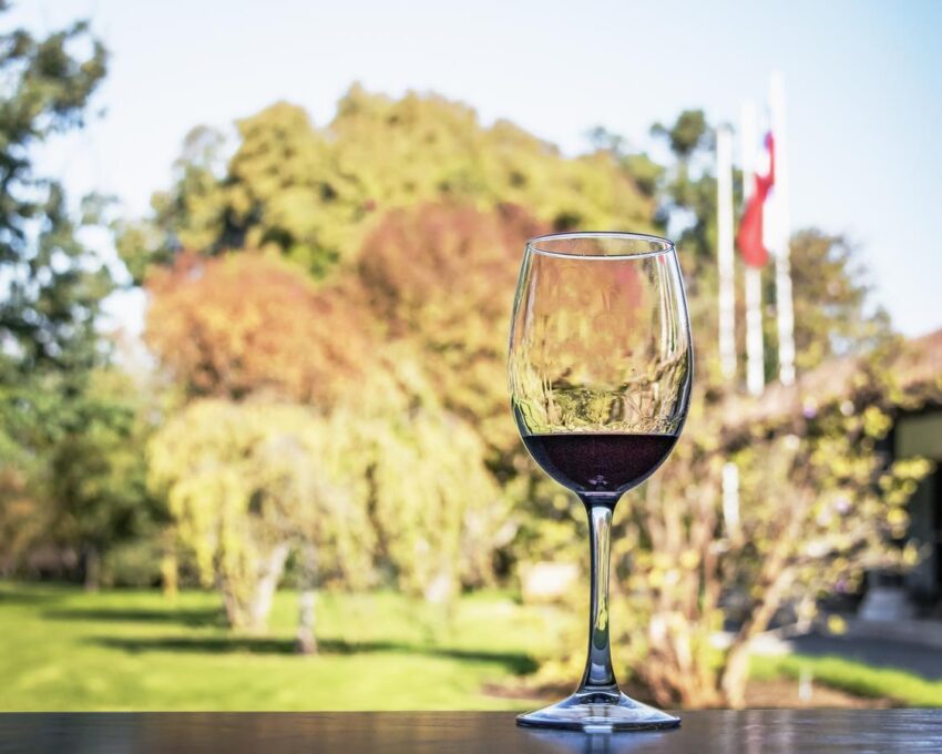 Wine tasting in Maipo Valley