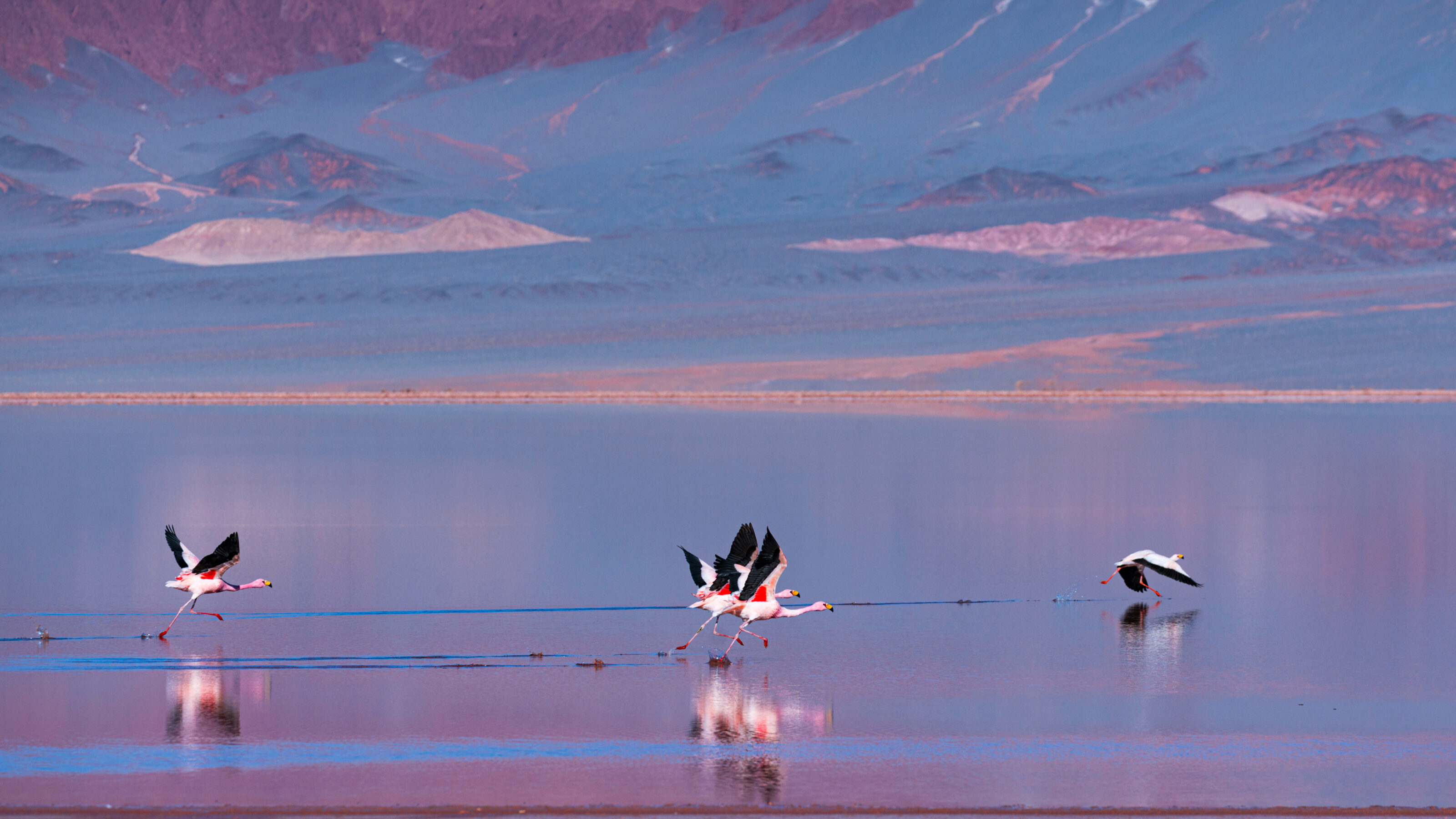 Adventure Across Northwest Argentina