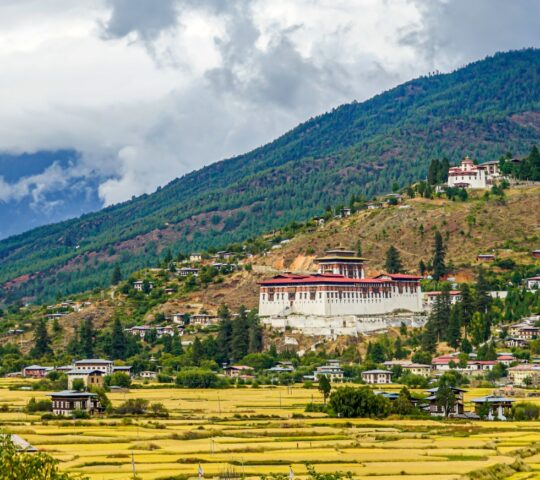 Marvel at the architecture of Paro Dzong