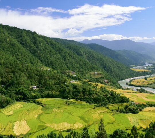 Hike through the valley of Punakha