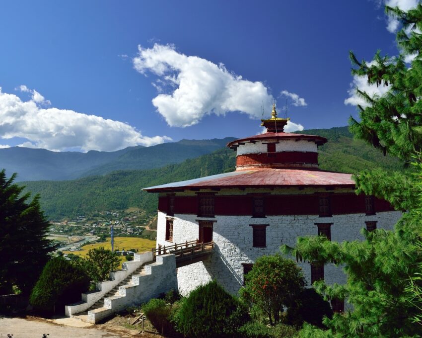 Exploring Paro