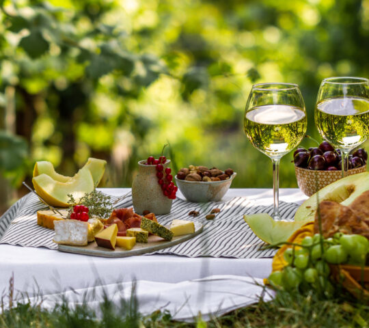 Picnic in the vineyards