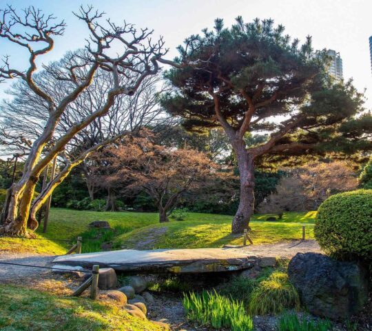 Exploring gardens in Tokyo