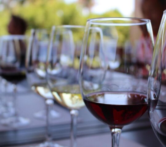 Wine tasting in Chile's Wine Region