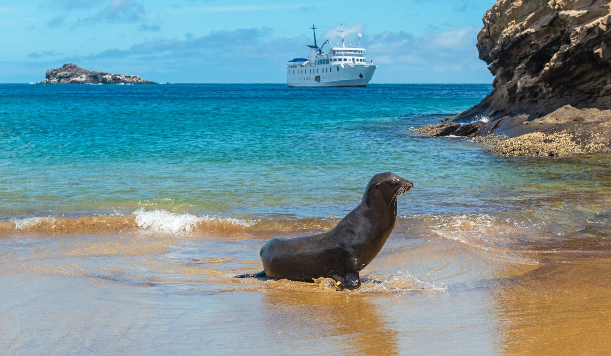 Four nights cruising around the Galápagos Islands