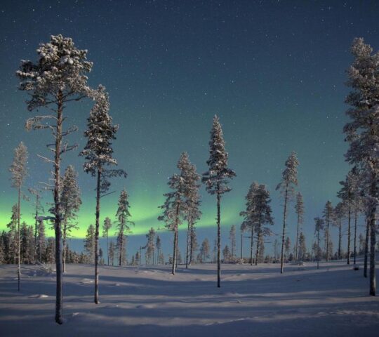 Northern lights illuminating Swedish Lapland's pristine nature