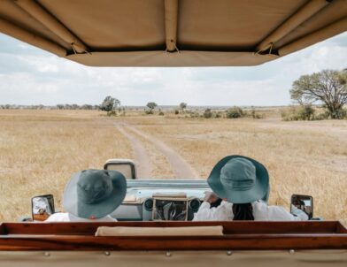 Travel Guides