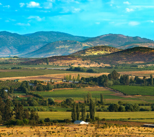 Chile's Wine Region