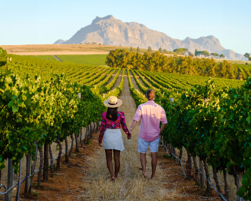 Wine, food and art in the vineyards