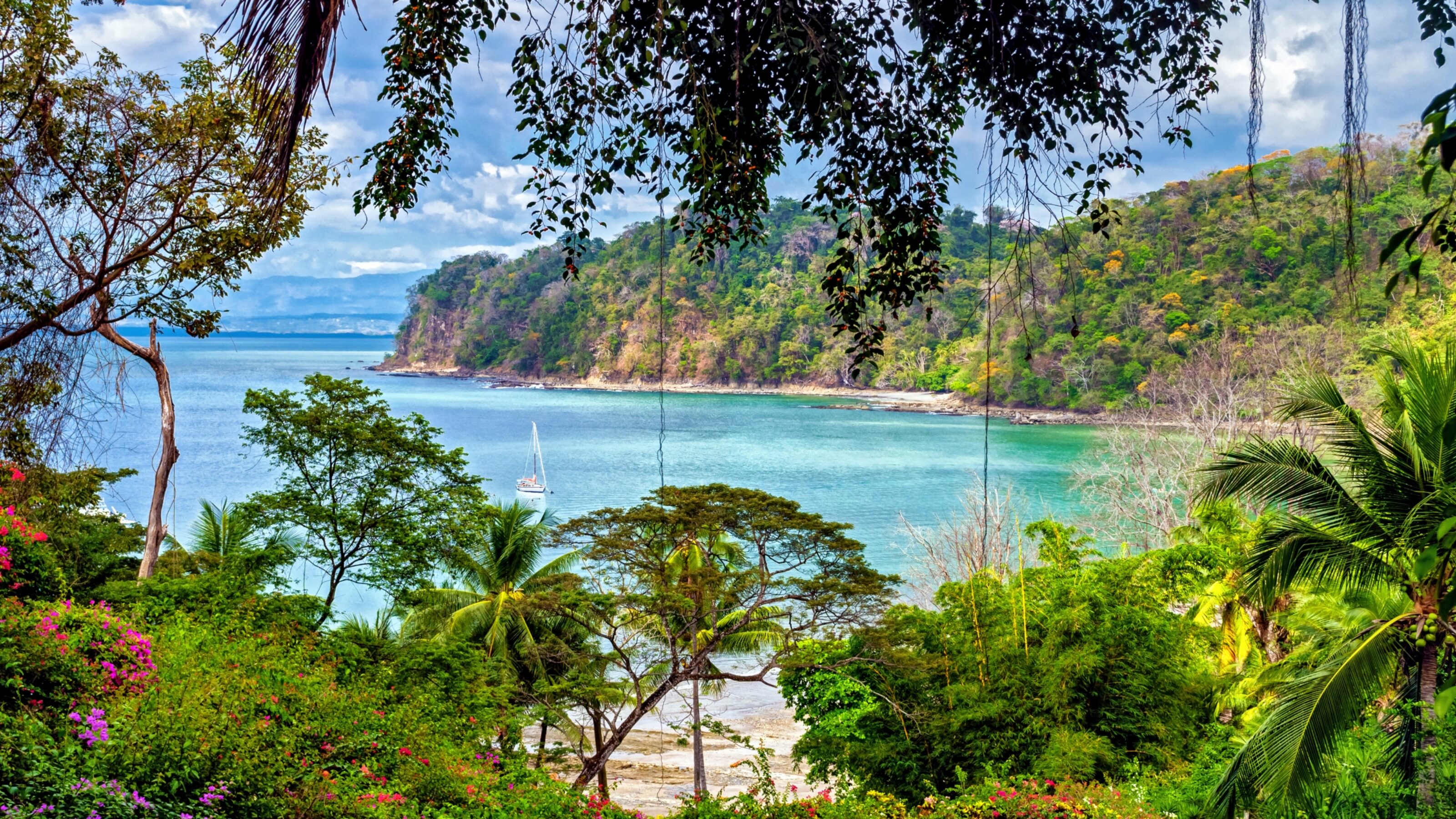 Tropical bay view with lush foliage and a sailboat, framed by tree branches.