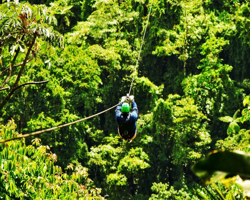 Person ziplining above lush green forest canopy.