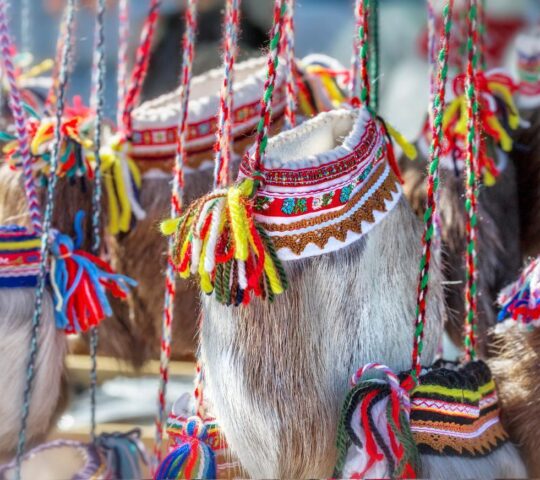 Learn about Sámi culture