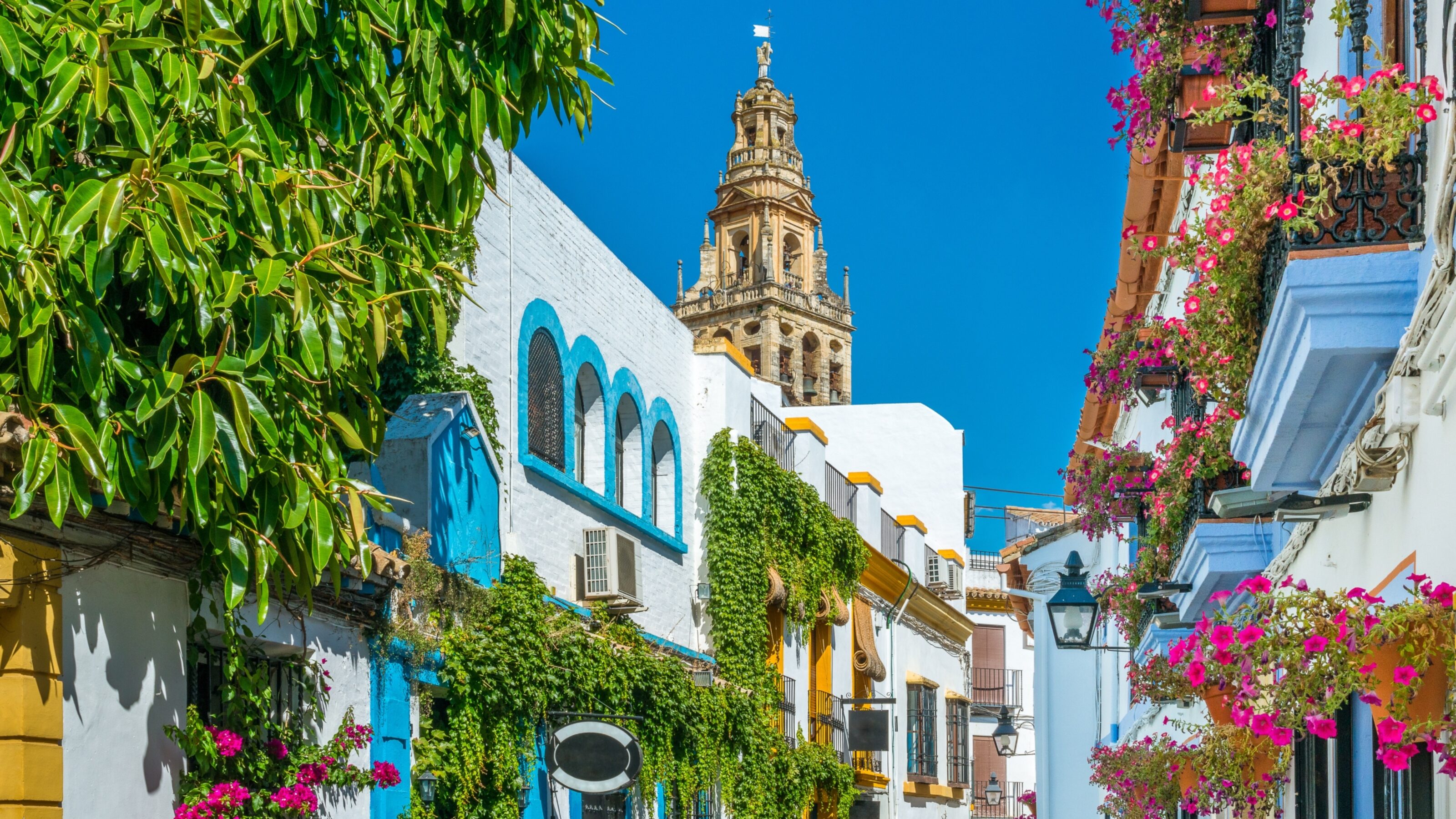Picturesque street with white buildings, blue accents, and flowering balconies under a clear sky.
