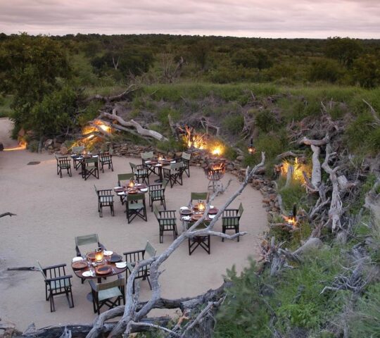 Stay at a luxury safari lodge