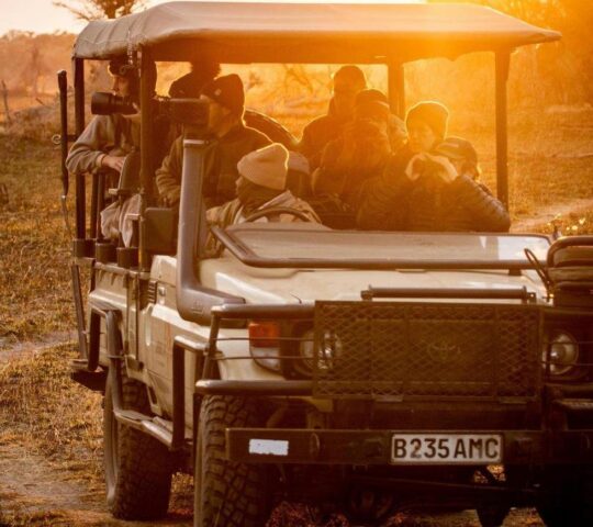 Spot wildlife on a sunrise game drive