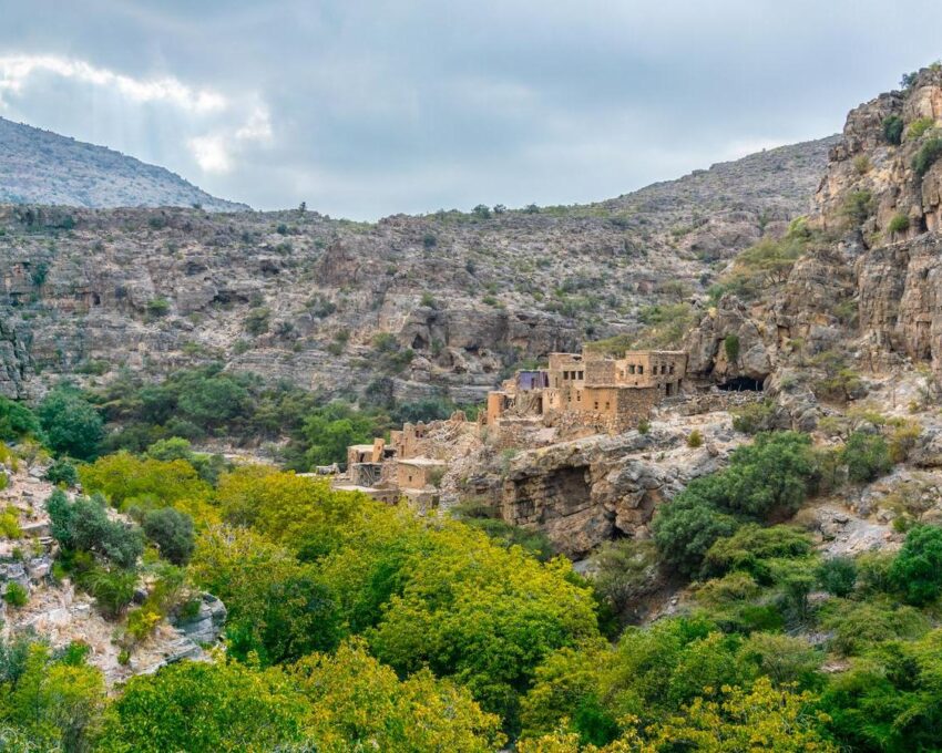 Birkat Al Mauz and Jebel Akhdar