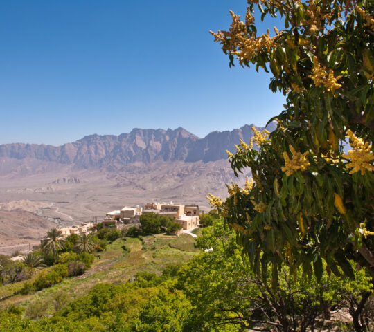 Soak up the scenery at Jebel Akhdar