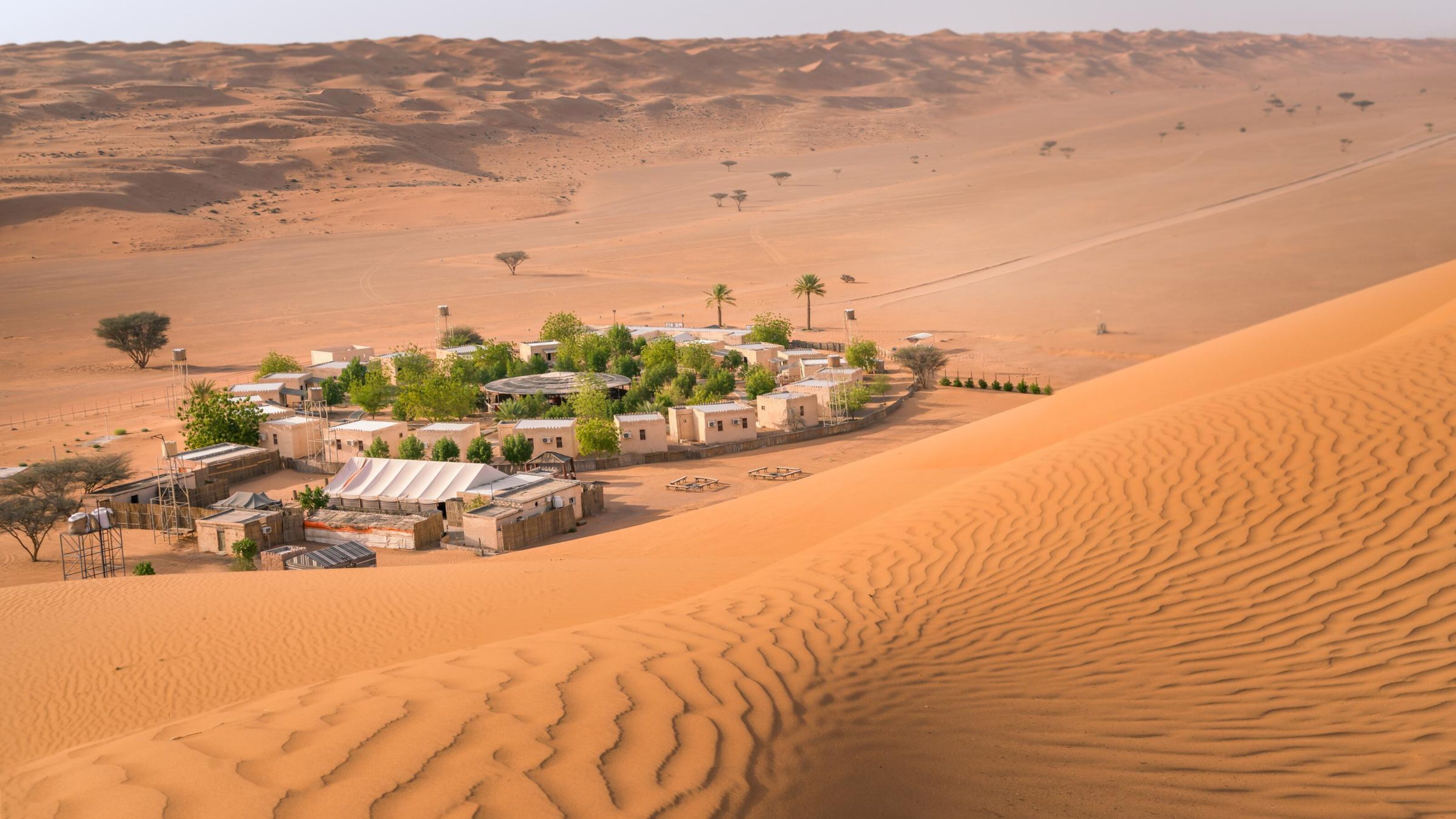 An oasis surrounded by palm trees in Wahiba Sands, Oman