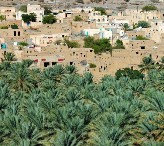 Explore the village of Al Hamra