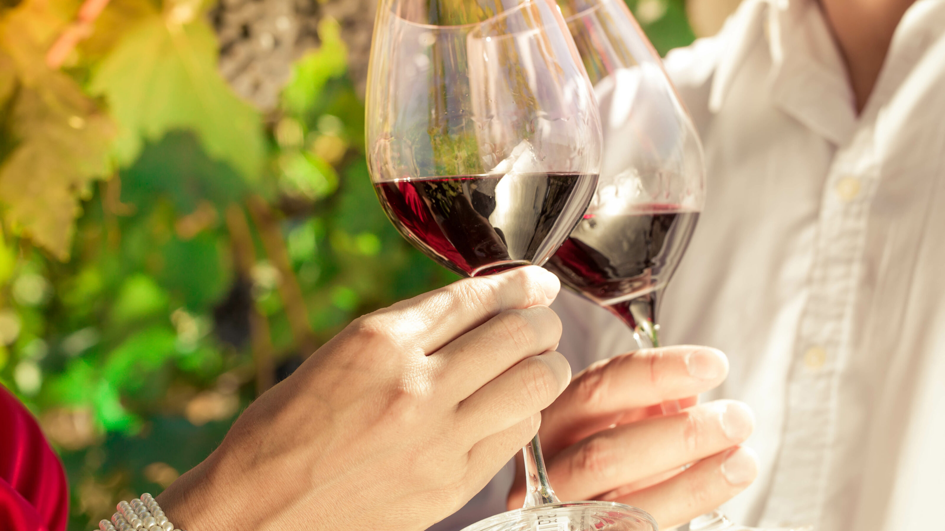 Vintner couple clinking wine glasses in vineyard, close-up